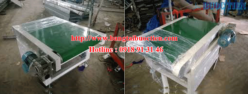 Băng tải cân 02