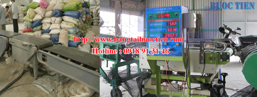 Băng tải cân 06